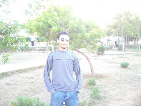 spider